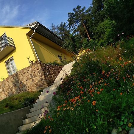 Mezi Stromy Otel Horakov Dış mekan fotoğraf